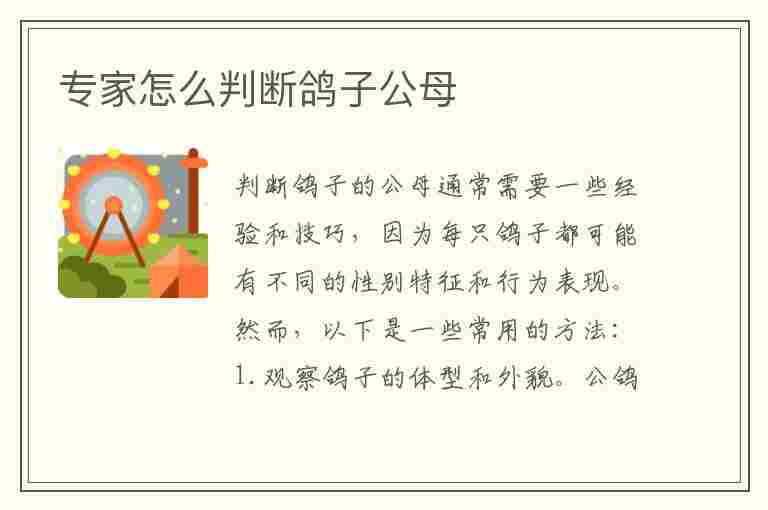 专家怎么判断鸽子公母(专家怎么判断鸽子公母图片)